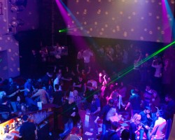 Stereosonic Is Back Just For You